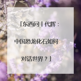 东西问丨代辉：中国恐龙化石如何对话世界？