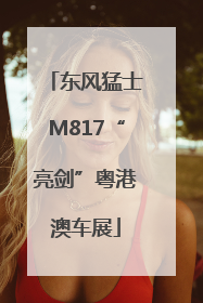 东风猛士M817“亮剑”粤港澳车展