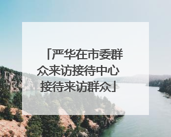 严华在市委群众来访接待中心接待来访群众