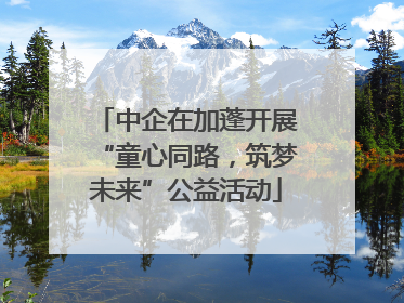 中企在加蓬开展“童心同路，筑梦未来”公益活动