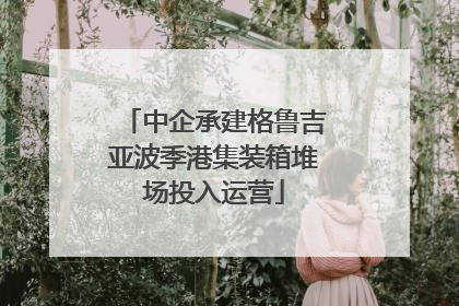 中企承建格鲁吉亚波季港集装箱堆场投入运营