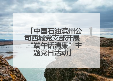 中国石油滨州公司西城党支部开展“端午话清廉”主题党日活动