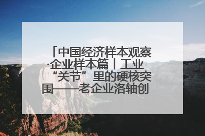中国经济样本观察·企业样本篇丨工业“关节”里的硬核突围——老企业洛轴创新蝶变启示录