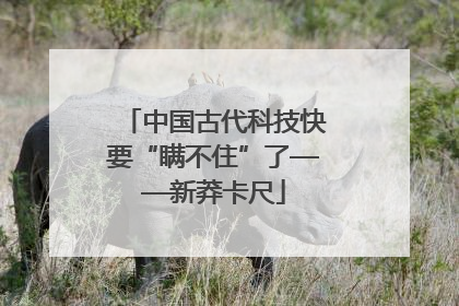 中国古代科技快要“瞒不住”了——新莽卡尺