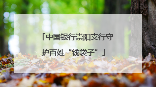 中国银行崇阳支行守护百姓“钱袋子”