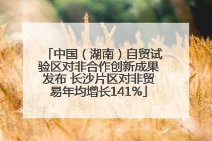 中国（湖南）自贸试验区对非合作创新成果发布 长沙片区对非贸易年均增长141%