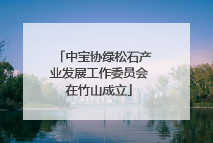 中宝协绿松石产业发展工作委员会在竹山成立