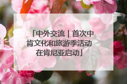 中外交流｜首次中肯文化和旅游季活动在肯尼亚启动