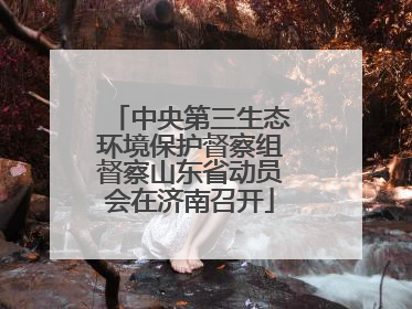 中央第三生态环境保护督察组督察山东省动员会在济南召开