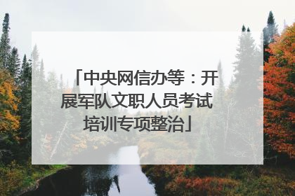 中央网信办等：开展军队文职人员考试培训专项整治