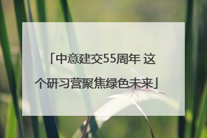 中意建交55周年 这个研习营聚焦绿色未来