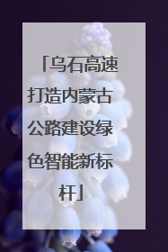 乌石高速打造内蒙古公路建设绿色智能新标杆