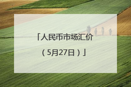 人民币市场汇价（5月27日）