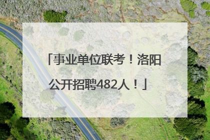 事业单位联考！洛阳公开招聘482人！