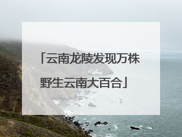 云南龙陵发现万株野生云南大百合