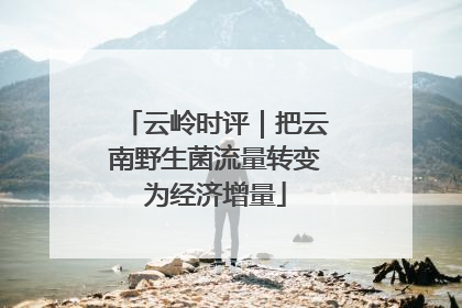 云岭时评｜把云南野生菌流量转变为经济增量