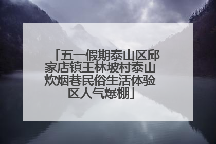 五一假期泰山区邱家店镇王林坡村泰山炊烟巷民俗生活体验区人气爆棚