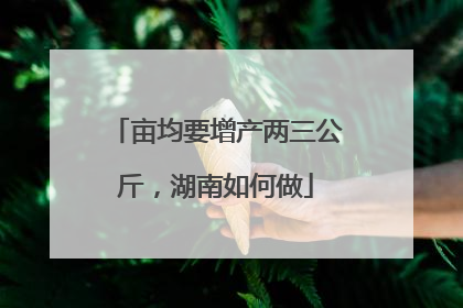 亩均要增产两三公斤，湖南如何做