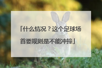 什么情况？这个足球场首要规则是不能冲撞