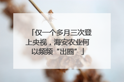仅一个多月三次登上央视，海安农业何以频频“出圈”