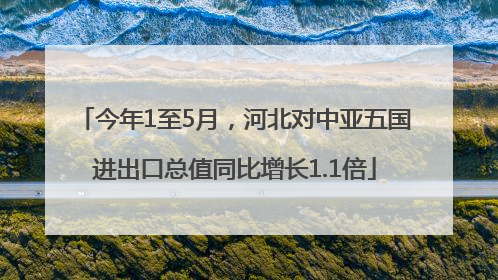 今年1至5月，河北对中亚五国进出口总值同比增长1.1倍