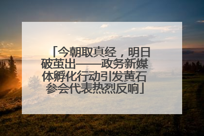 今朝取真经，明日破茧出——政务新媒体孵化行动引发黄石参会代表热烈反响