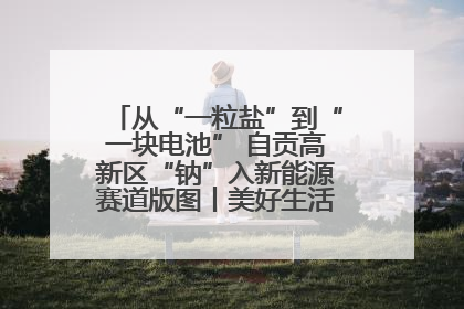 从“一粒盐”到“一块电池” 自贡高新区“钠”入新能源赛道版图丨美好生活有“盐”味