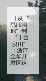 从“高压困地”到“千亩良田”：浙江金华开发区这个地块打造全域整治示范样本