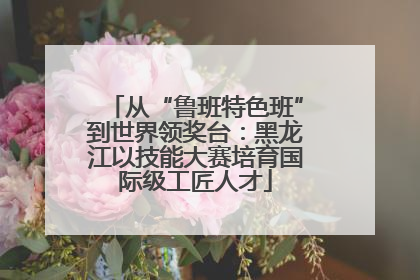 从“鲁班特色班”到世界领奖台：黑龙江以技能大赛培育国际级工匠人才