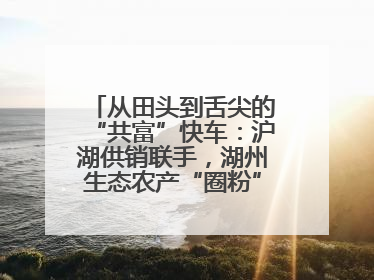 从田头到舌尖的“共富”快车：沪湖供销联手，湖州生态农产“圈粉”大上海