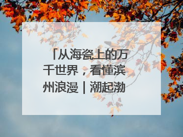 从海瓷上的万千世界，看懂滨州浪漫｜潮起渤海・网聚黄蓝