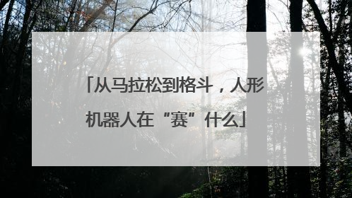 从马拉松到格斗，人形机器人在“赛”什么