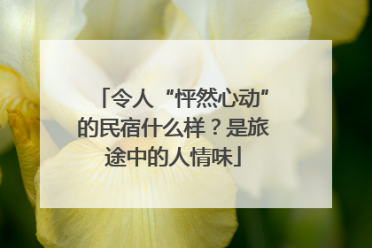 令人“怦然心动”的民宿什么样？是旅途中的人情味