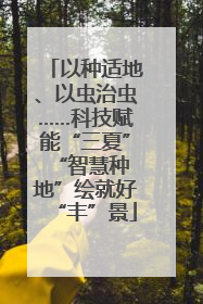 以种适地、以虫治虫……科技赋能“三夏” “智慧种地”绘就好“丰”景