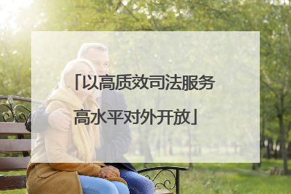 以高质效司法服务高水平对外开放