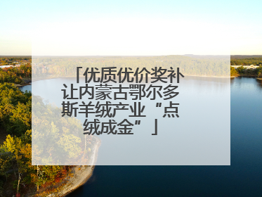 优质优价奖补让内蒙古鄂尔多斯羊绒产业“点绒成金”