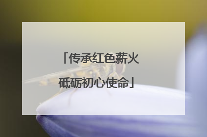 传承红色薪火 砥砺初心使命
