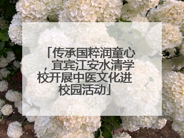 传承国粹润童心，宜宾江安水清学校开展中医文化进校园活动