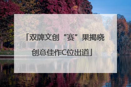 双牌文创“赛”果揭晓 创意佳作C位出道