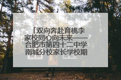 双向奔赴育桃李 家校同心向未来——合肥市第四十二中学南城分校家长学校期末总结会圆满召开