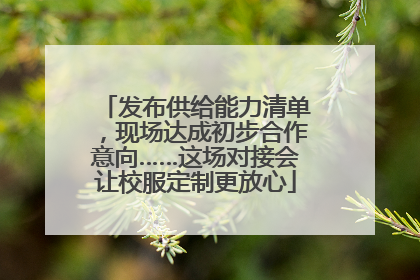 发布供给能力清单，现场达成初步合作意向……这场对接会让校服定制更放心