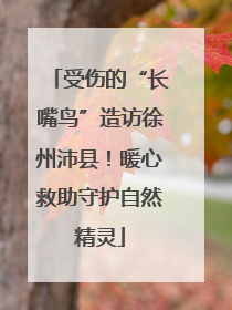 受伤的“长嘴鸟”造访徐州沛县！暖心救助守护自然精灵