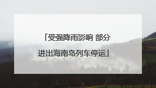 受强降雨影响 部分进出海南岛列车停运