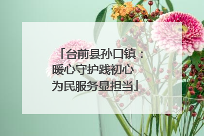 台前县孙口镇：暖心守护践初心 为民服务显担当