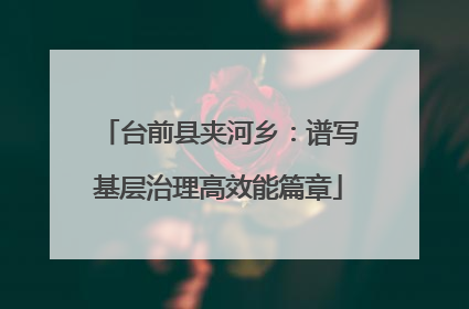 台前县夹河乡：谱写基层治理高效能篇章