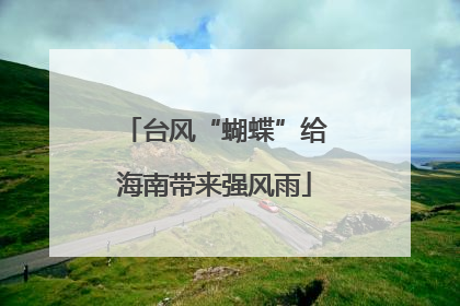 台风“蝴蝶”给海南带来强风雨