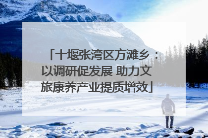 十堰张湾区方滩乡：以调研促发展 助力文旅康养产业提质增效
