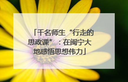 千名师生“行走的思政课”：在闽宁大地感悟思想伟力