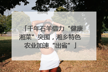 千年石羊借力“健康湘菜”突围，湘乡特色农业加速“出省”
