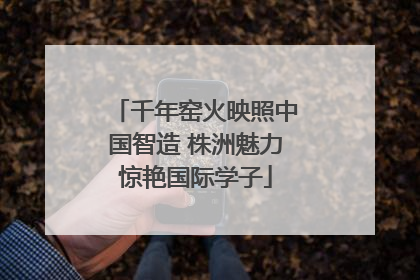 千年窑火映照中国智造 株洲魅力惊艳国际学子